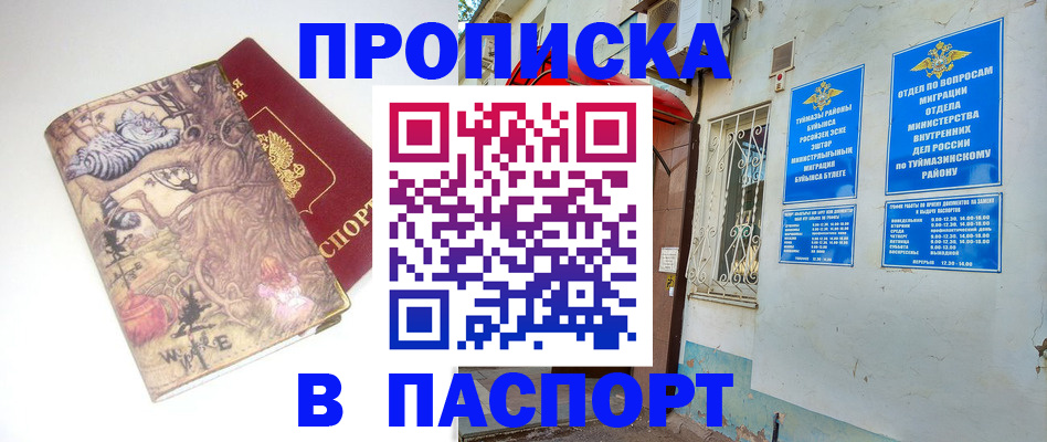 пропишу в квартире в Кудрово